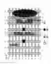 Fig. 03 - Middle-of-the-line constructs using diffusion contact structures