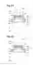 Fig. 06 - Light emitting device with resin member having embedded inner conductive members