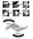 Fig. 01 - Self-powered generator, method of fabricating the same and piezoelectric enery-harvesting device using the generator
