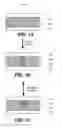 Fig. 02 - Embedded Resistors for Resistive Random Access Memory Cells