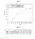 Fig. 07 - Organic light emitting display device