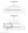 Fig. 02 - Organic light emitting display device and manufacturing method thereof