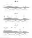 Fig. 04 - Organic light emitting display device and manufacturing method thereof