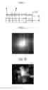 Fig. 02 - Organic light emitting diode display device