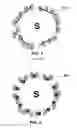 Fig. 02 - SULFUR CATHODE OF LITHIUM SULFUR BATTERIES AND METHOD OF MANUFACTURING THE SAME