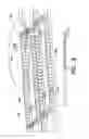 Fig. 08 - Travelling wave antenna feed structures
