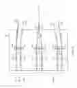 Fig. 04 - Wavelength-selective switch array