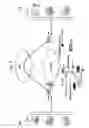 Fig. 06 - Virtual private network (VPN)-as-a-service with delivery optimizations while maintaining end-to-end data security