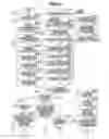 Fig. 07 - Imaging apparatus having multiple imaging units and method of controlling the same