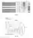 Fig. 33 - Systems and methods for a television scoring service that learns to reach a target audience