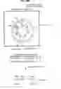 Fig. 22 - Information processing system and storage medium