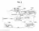 Fig. 05 - Wireless communicator connectable to different types of wireless communication networks