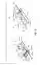 Fig. 06 - Module, module combined body and module production method
