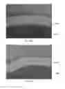 Fig. 17 - Apparatus and methods for processing exfoliated graphite materials