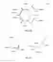 Fig. 31 - Apparatus and methods for processing exfoliated graphite materials