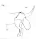 Fig. 02 - Stool Pouch for Dog