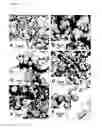 Fig. 02 - Control of arthropod infestation using particles comprising an entomopathogen and wax