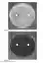 Fig. 04 - Antimicrobial compounds