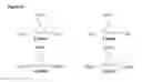 Fig. 19 - Antimicrobial compounds