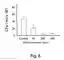 Fig. 09 - Composition comprising nucleic acids of parasitic, pathogenic or infesting biological systems for inhibiting and/or controlling the growth of said systems and process for the preparation thereof