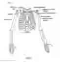 Fig. 03 - PROTECTIVE GARMENT FOR WEIGHTLIFTING