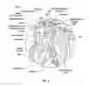 Fig. 04 - PROTECTIVE GARMENT FOR WEIGHTLIFTING