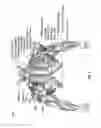Fig. 06 - PROTECTIVE GARMENT FOR WEIGHTLIFTING