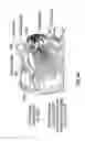 Fig. 07 - PROTECTIVE GARMENT FOR WEIGHTLIFTING