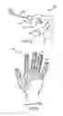 Fig. 04 - Ergonomic work gloves