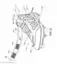 Fig. 20 - Article of footwear with a customizable upper