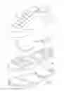 Fig. 01 - Microprocessor control of bladders in footwear soles with internal flexibility sipes