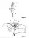 Fig. 05 - Removable Shoe Spike System