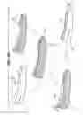 Fig. 10 - SHOE