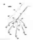 Fig. 01 - SOMATOSENSORY TERMINAL FEEDBACK CANE