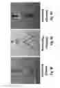 Fig. 14 - SOMATOSENSORY TERMINAL FEEDBACK CANE