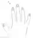 Fig. 01 - ARTIFICIAL NAILS WITH DISPLAYS