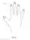 Fig. 05 - ARTIFICIAL NAILS WITH DISPLAYS