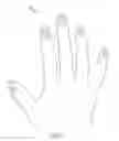 Fig. 08 - ARTIFICIAL NAILS WITH DISPLAYS