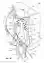 Fig. 03 - PIVOTABLE PACK FRAME APPARATUS