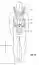 Fig. 11 - PIVOTABLE PACK FRAME APPARATUS