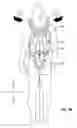 Fig. 12 - PIVOTABLE PACK FRAME APPARATUS