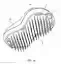 Fig. 02 - Hair brushing device
