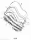 Fig. 05 - Hair brushing device