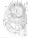 Fig. 07 - Canister vacuum cleaner