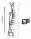 Fig. 49 - Methods and kits for assessing central nervous system integrity