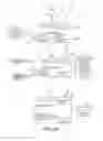 Fig. 06 - METHOD OF TREATING SLEEP DISORDERED BREATHING