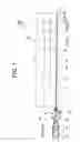 Fig. 02 - Electrode catheter and method for manufacturing the same