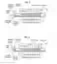 Fig. 04 - Optical-acoustic imaging device