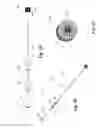 Fig. 28 - ENDOVASCULAR OCCLUSION DEVICE WITH HEMODYNAMICALLY ENHANCED SEALING AND ANCHORING