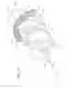 Fig. 12 - Microsurgical instruments